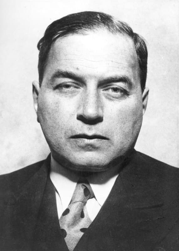 Portrait von Friedrich Engel-Janosi